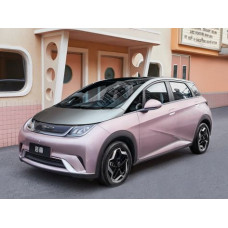 BYD_Dolphin_31_kWh_Vigorous_08-2021_12-2022 BYD_Dolphin_31_kWh_Vigorous_08-2021_12-2022